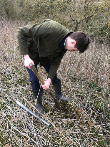 Aubrey planting a tree in Chipping